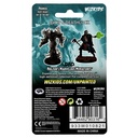 Nolzur's Marvelous Miniatures: Allip & Deathlock