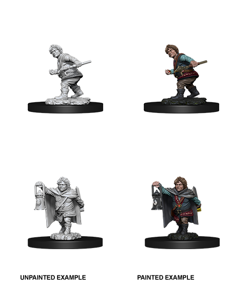 Nolzur's Marvelous Miniatures: Halfling Rogue W11