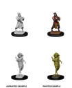 Nolzur's Marvelous Miniatures: Satyr & Dryad