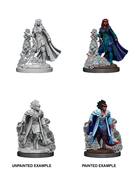 Nolzur's Marvelous Miniatures: Tiefling Sorcerer Female W11