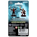 Nolzur's Marvelous Miniatures: Human Wizard Male