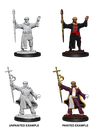 Nolzur's Marvelous Miniatures: Human Wizard Male