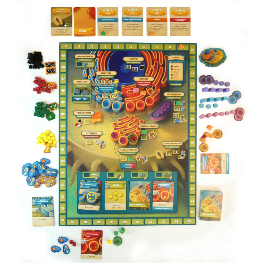Cytosis: A Cell Biology Game