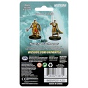 Nolzur's Marvelous Miniatures: Human Cleric Male