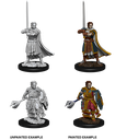 Nolzur's Marvelous Miniatures: Human Cleric Male