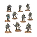 Warhammer 40K: Astra Militarum: Kasrkin