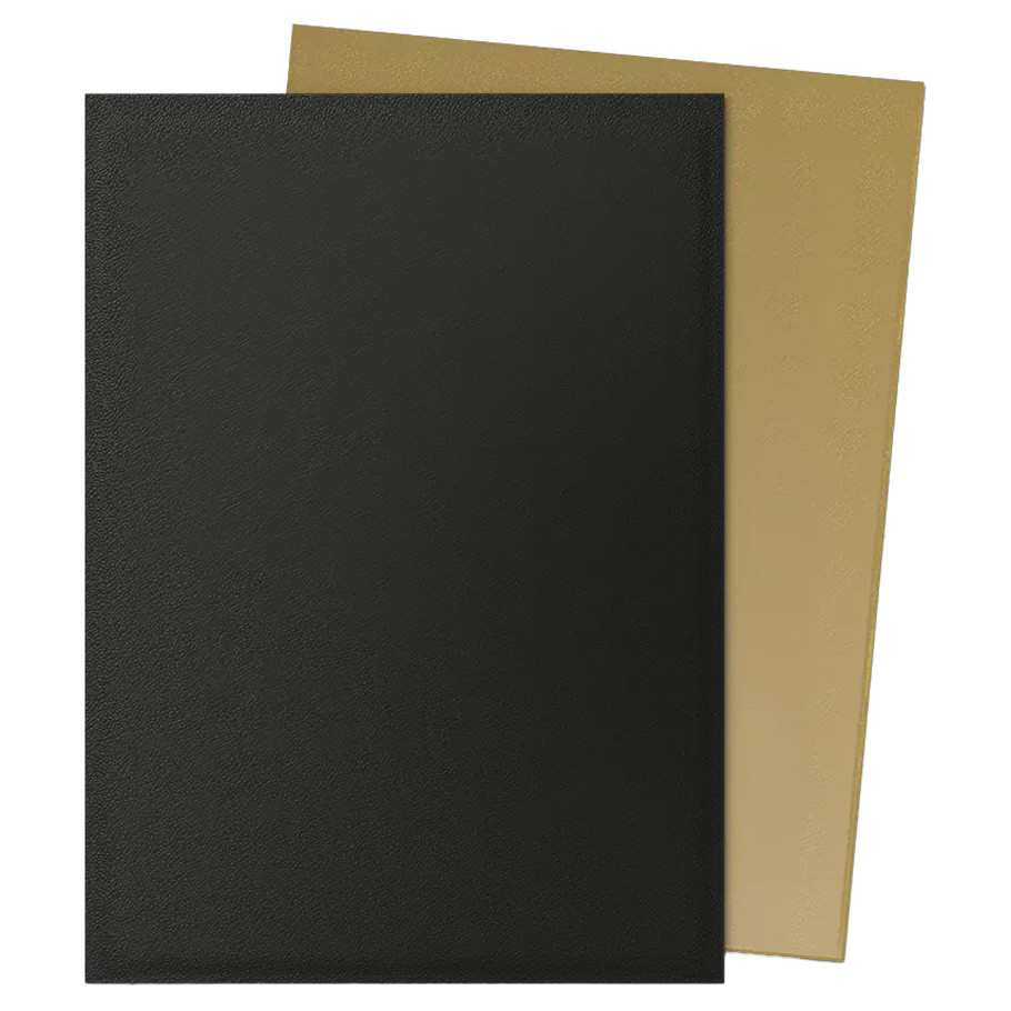 Dragon Shield: Dual Matte: Black & Gold (100)