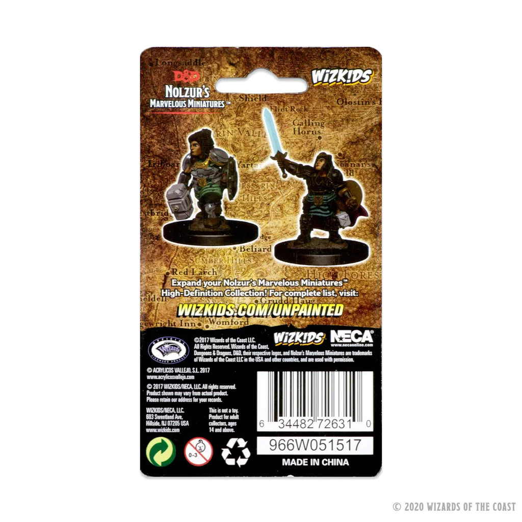 Nolzur's Marvelous Miniatures: Dwarf Paladin Female