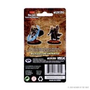 Nolzur's Marvelous Miniatures: Elf Cleric Male