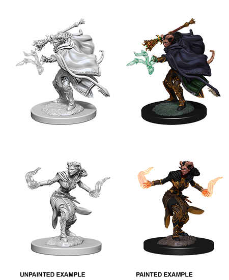 Nolzur's Marvelous Miniatures: Tiefling Warlock Female