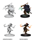 Nolzur's Marvelous Miniatures: Tiefling Warlock Female