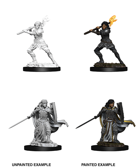 Nolzur's Marvelous Miniatures: Human Paladin Female