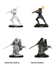 Nolzur's Marvelous Miniatures: Human Paladin Female
