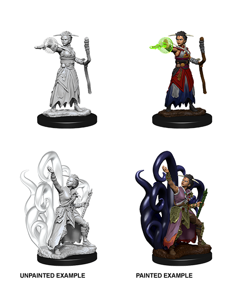 Nolzur's Marvelous Miniatures: Human Warlock Female
