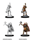 Nolzur's Marvelous Miniatures: Human Barbarian Female