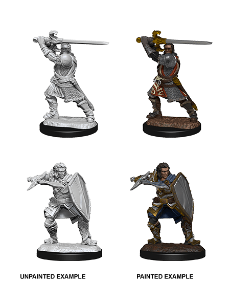 Nolzur's Marvelous Miniatures: Human Paladin Male