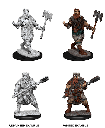 Nolzur's Marvelous Miniatures: Human Barbarian Male