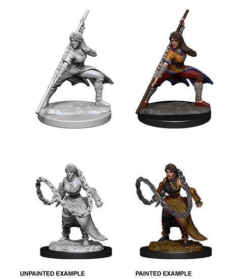 Nolzur's Marvelous Miniatures: Human Monk  Female W14