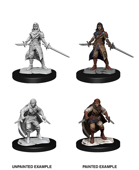 Nolzur's Marvelous Miniatures: Half-Elf Rogue  Female