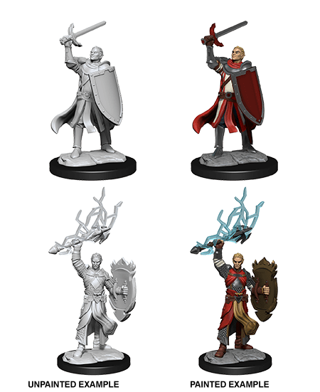 Nolzur's Marvelous Miniatures: Half-Elf Paladin Male