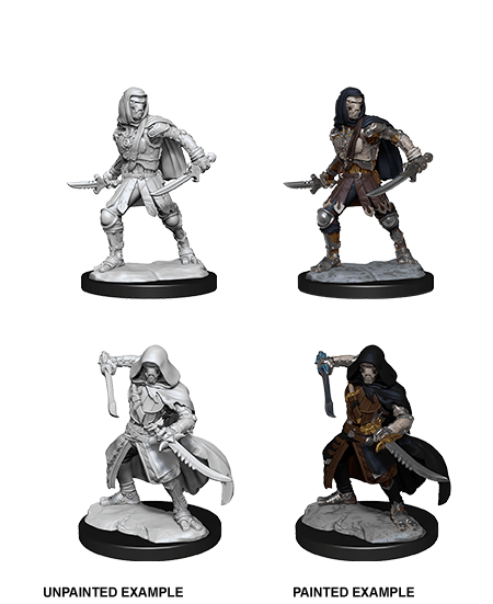 Nolzur's Marvelous Miniatures: Warforged Rogue