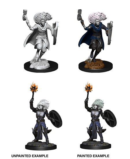 Nolzur's Marvelous Miniatures: Changeling Cleric Male