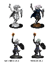 Nolzur's Marvelous Miniatures: Changeling Cleric Male
