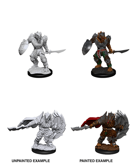 Nolzur's Marvelous Miniatures: Dragonborn Fighter Male