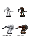 Nolzur's Marvelous Miniatures: Dragonborn Fighter Male