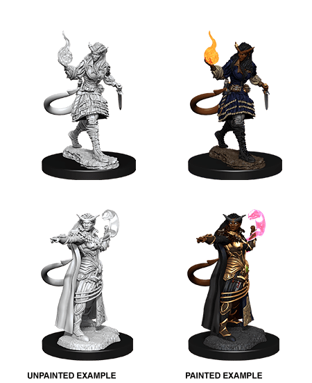 Nolzur's Marvelous Miniatures: Tiefling Sorcerer Female W15