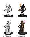 Nolzur's Marvelous Miniatures: Tiefling Sorcerer Female W15