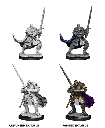Nolzur's Marvelous Miniatures: Half-Orc Paladin Male W15