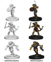 Nolzur's Marvelous Miniatures: Goblins