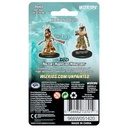 Nolzur's Marvelous Miniatures: Human Druid Female W09
