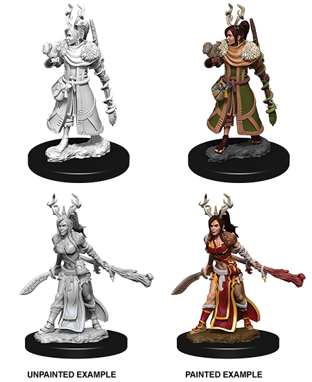 Nolzur's Marvelous Miniatures: Human Druid Female W09