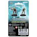 Nolzur's Marvelous Miniatures: Human Barbarian Female W01