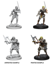 Nolzur's Marvelous Miniatures: Human Barbarian Female W01