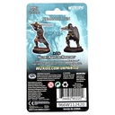 Nolzur's Marvelous Miniatures: Human Paladin Male