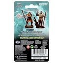 Nolzur's Marvelous Miniatures: Firbolg Druid Male