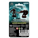 Nolzur's Marvelous Miniatures: Dragonborn Fighter Male