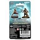 Nolzur's Marvelous Miniatures: Human Monk  Female W14
