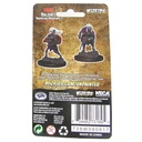Nolzur's Marvelous Miniatures: Drow