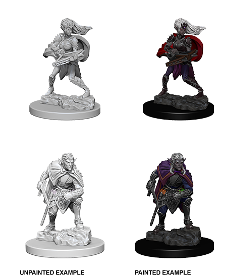 Nolzur's Marvelous Miniatures: Drow
