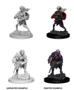 Nolzur's Marvelous Miniatures: Drow
