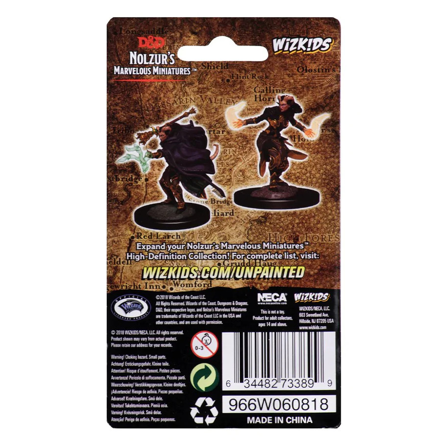 Nolzur's Marvelous Miniatures: Tiefling Warlock Female