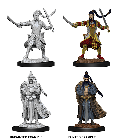Nolzur's Marvelous Miniatures: Elf Paladin Male