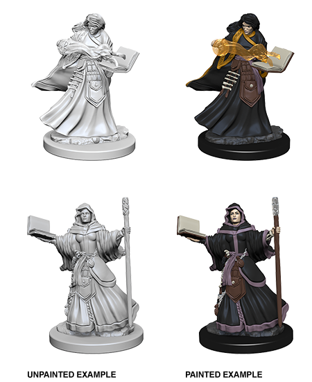 Nolzur's Marvelous Miniatures: Human Wizard Female