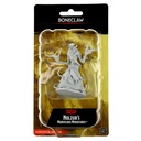 Nolzur's Marvelous Miniatures: Boneclaw