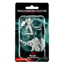 Nolzur's Marvelous Miniatures: Dragonborn Fighter Male