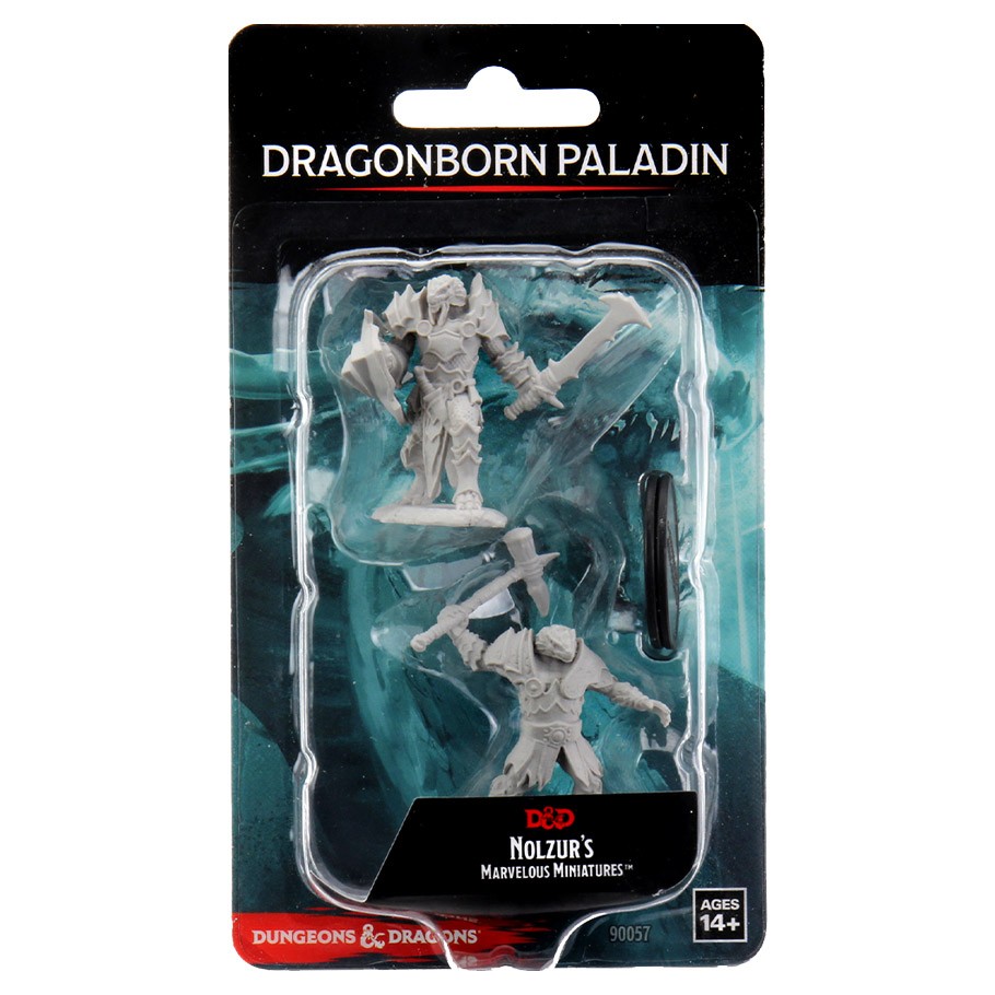 Nolzur's Marvelous Miniatures: Dragonborn Paladin Male W12